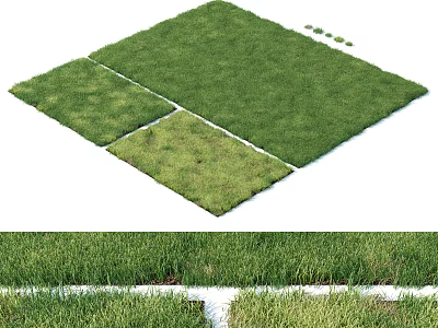 Fresh Green Grass Turf Design With Different Patches And White Borders 3d model