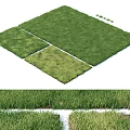 Fresh Green Grass Turf Design With Different Patches And White Borders
