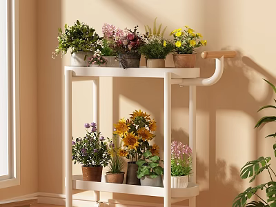 White Two Tiered Flower Stand With Various Potted Plants And Colorful Flowers Indoor 3d model