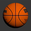 Wilson EVO NXT Official National Basketball Association Professional Sports Equipment Basketball