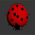 Realistic Ladybug Flying Insect With Red Shell Black Spots On Gray Background 3d model
