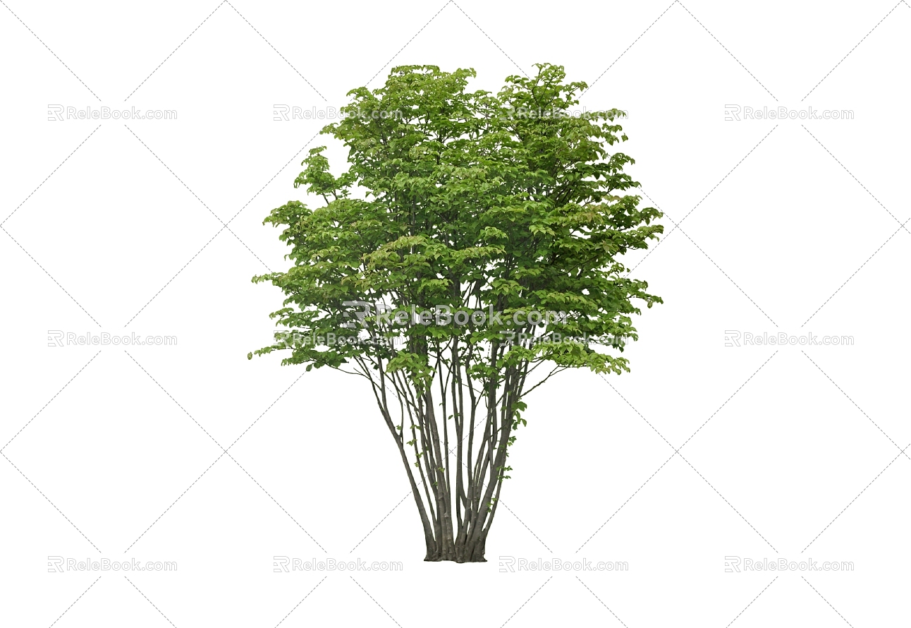 Tree 3d model