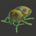 Beetle Scarab Insect Animal Game Animal Cartoon Animal 3d model