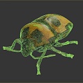 Beetle Beetle Scarab Insect Animal Game Animal Cartoon Animal Animal 3d model