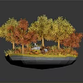 Autumn Trees with Yellow and Orange Leaves and Small Mushrooms on Fallen Leaves Ground