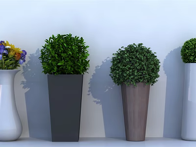 Decorative Potted Green Plants In White Black And Brown Containers With Spherical Foliage 3d model