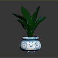 Green Leafy Plant In Blue And White Patterned Ceramic Pot With Fresh Leaves