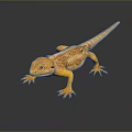 Lizard Anime Lizard Cartoon Lizard Reptile Cold Blooded Animal Reptile 3d model