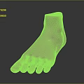 Man's Realistic Foot Model With Light Skin Tone On Dark Reflective Surface