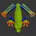 Vibrant Red-eyed Tree Frog With Green Body Blue Legs And Orange Toes