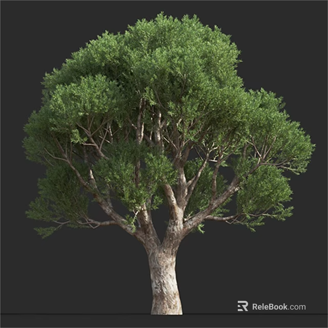 Lush Green Arbor With Thick Trunk And Dense Foliage Branches 3d model 