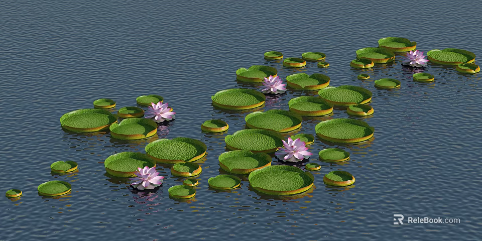 Pink Water Lilies And Green Lily Pads Floating On Calm Pond Water Surface 3d model 