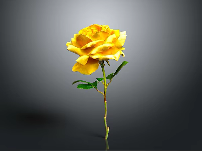 Beautiful Yellow Rose with Green Stem and Leaves on Gray Background 3d model