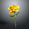 Beautiful Yellow Rose with Green Stem and Leaves on Gray Background