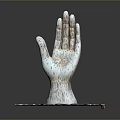 Medical Device White Palm Model With Anatomical Patterns On Grid Patterned Base 3d model