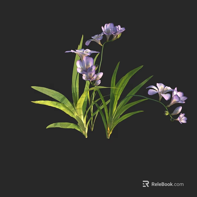 Vibrant Purple Flowers With Lush Green Leaves And Delicate Petals On Long Stems 3d model 