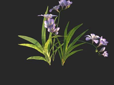 Vibrant Purple Flowers With Lush Green Leaves And Delicate Petals On Long Stems 3d model
