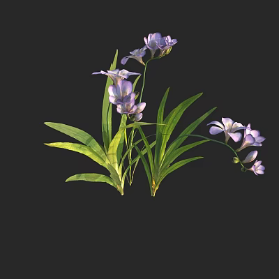 Vibrant Purple Flowers With Lush Green Leaves And Delicate Petals On Long Stems 3d model