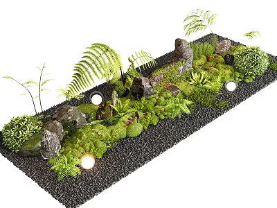Indoor Landscape Design Featuring Ferns Rocks Moss And Black Gravel With Small Lights 3d model
