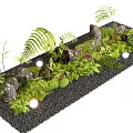 Indoor Landscape Design Featuring Ferns Rocks Moss And Black Gravel With Small Lights