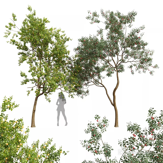 Tall Arbor Tree With Lush Green Foliage Thick Trunk And Red Fruits Beside Silhouette Figure 3d model 