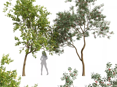 Tall Arbor Tree With Lush Green Foliage Thick Trunk And Red Fruits Beside Silhouette Figure 3d model