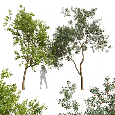 Tall Arbor Tree With Lush Green Foliage Thick Trunk And Red Fruits Beside Silhouette Figure 3d model