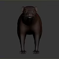 Realistic Brown Otter 3D Model in Standing Pose with Neutral Gray Background