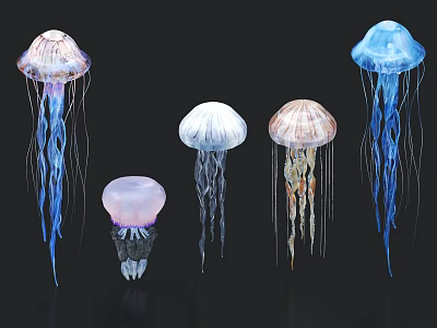 Colorful Transparent Jellyfish Displaying Various Bell Shapes And Long Flowing Tentacles 3d model
