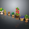 Colorful Potted Plants With Various Flowers Green Leaves And Decorative Golden Pots