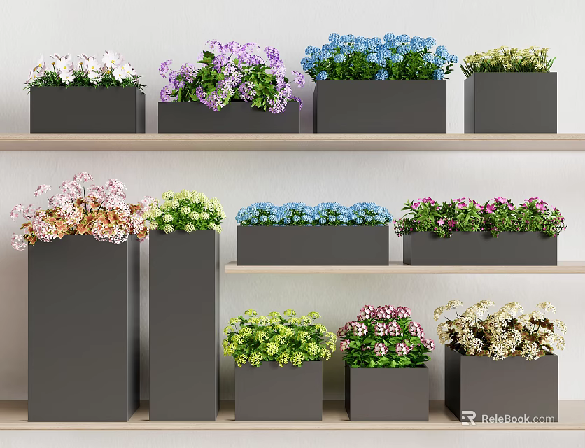 Various Colorful Potted Plants On Multi Tiered Wooden Shelves With Black Pots 3d model 
