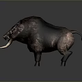 Wild Boar With Long Curved Tusks And Rough Brown Skin Standing