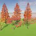 Colorful Arbor Trees With Red Orange Yellow Leaves On Green Grass Under Blue Sky