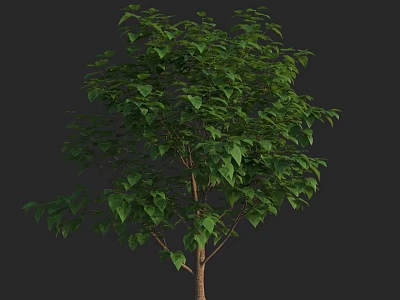 Lush Green Arbor With Dense Foliage And Brown Trunk Structure 3d model