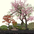 Garden Plant Combination With Cherry Blossom Green Orange Trees Bushes Stones Steps And Lantern
