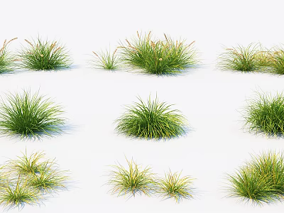 Green Grass Plants With Various Sizes And Shapes On White Background 3d model