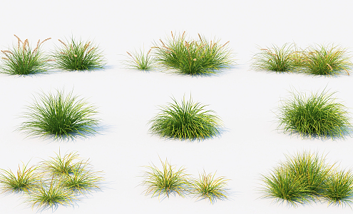 Modern Grass 3d model