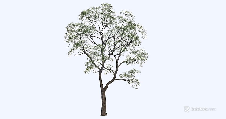 Detailed Natural Arbor Featuring Dark Trunk And Green Lush Foliage Isolated On Light Background 3d model 