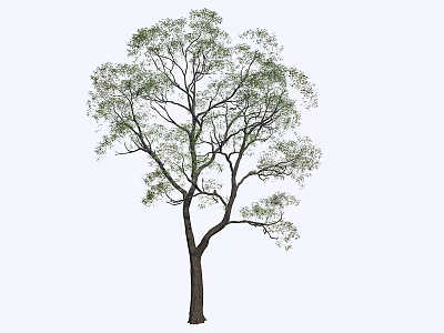 Detailed Natural Arbor Featuring Dark Trunk And Green Lush Foliage Isolated On Light Background 3d model