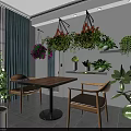 Bright Indoor Space With Hanging Wall Plants Wooden Table And Chairs Decor