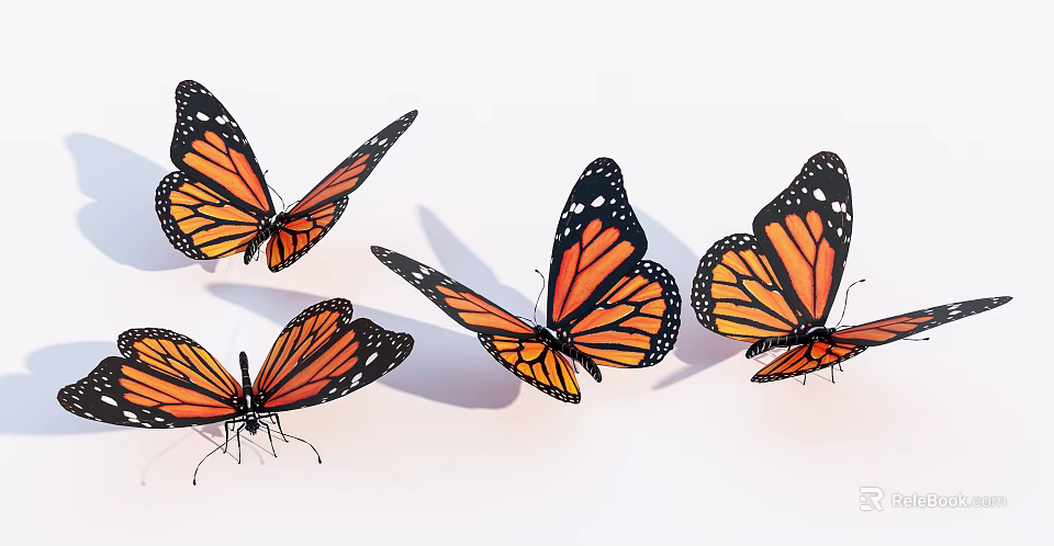 Four Monarch Butterflies With Orange And Black Wings On White Background 3d model 