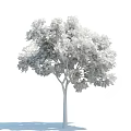 The Modern Tree 3d model