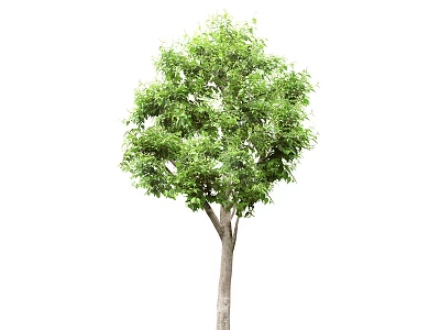 green plant big tree 3d model