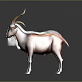 Two White And Brown Goats Standing On Red Platform With Gray Background 3d model