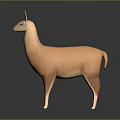 Light Brown Llama Standing On Dark Background With Shiny Surface 3d model