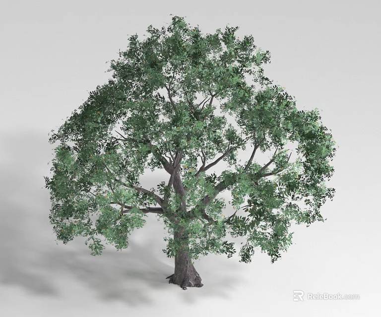 Lush Green Shrub With Dense Foliage And Healthy Branches For Garden Landscaping 3d model 