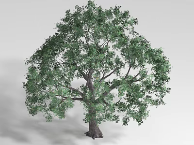 Lush Green Shrub With Dense Foliage And Healthy Branches For Garden Landscaping 3d model
