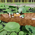 Peaceful Waterside Landscape With Lotus Leaves Pink Flowers Small Boat And Tea Set