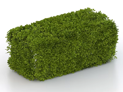 Lush Green Trimmed Bush with Rectangular Shape and Dense Fresh Foliage 3d model