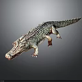 Lifelike Crocodile Figure With Detailed Scaly Skin On Dark Reflective Surface
